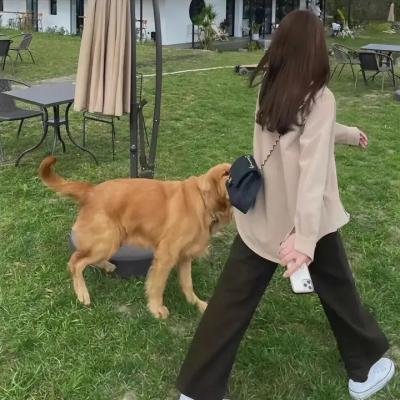 以色列铁娘子:梅尔夫人